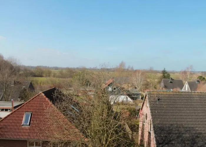 Ostsee-studio F356 브라질린